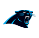 Panthers Store